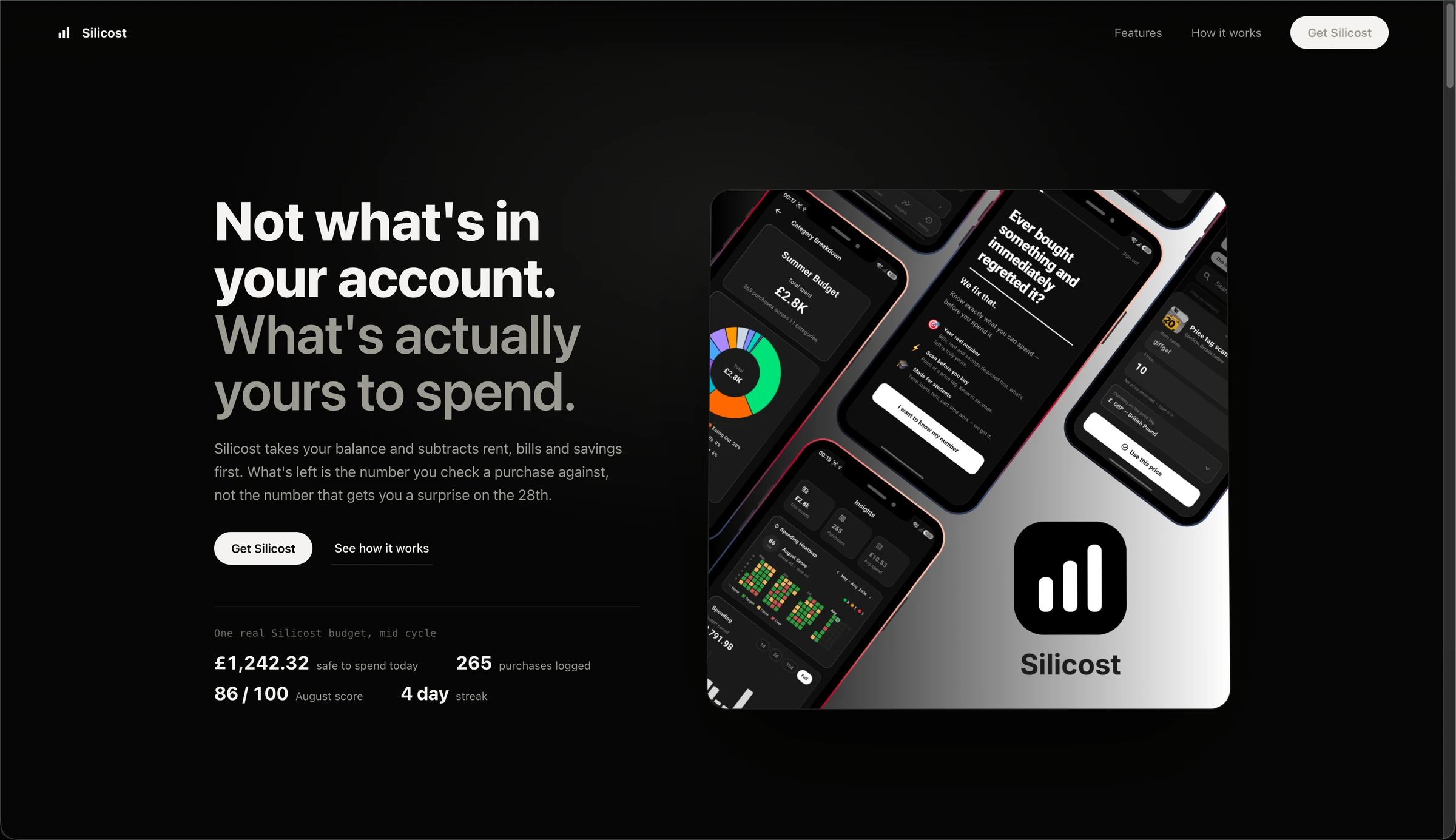 Silicost preview